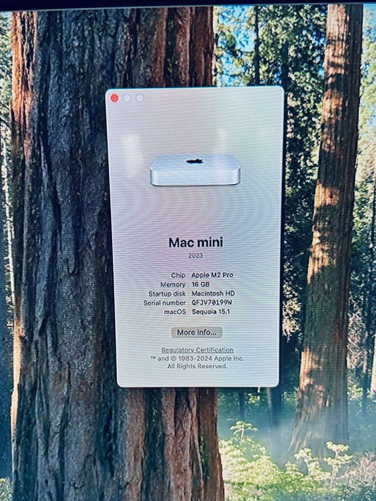 Apple Mac Mini 2023 M2 Pro 12-Core CPU 19-Core GPU 16GB RAM 2TB Flash SSD