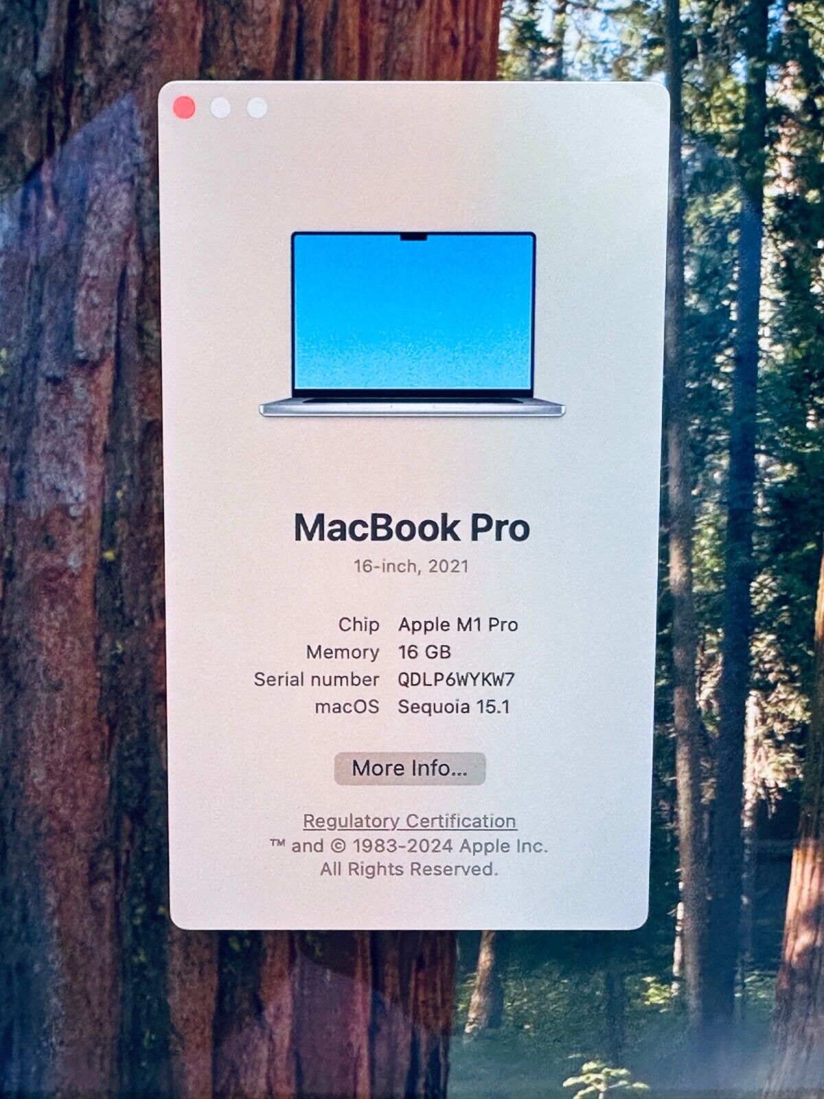 Apple MacBook Pro 16" 2021 M1 Pro 10-Core CPU 16-Core GPU, 16GB, 1TB, Space Grey